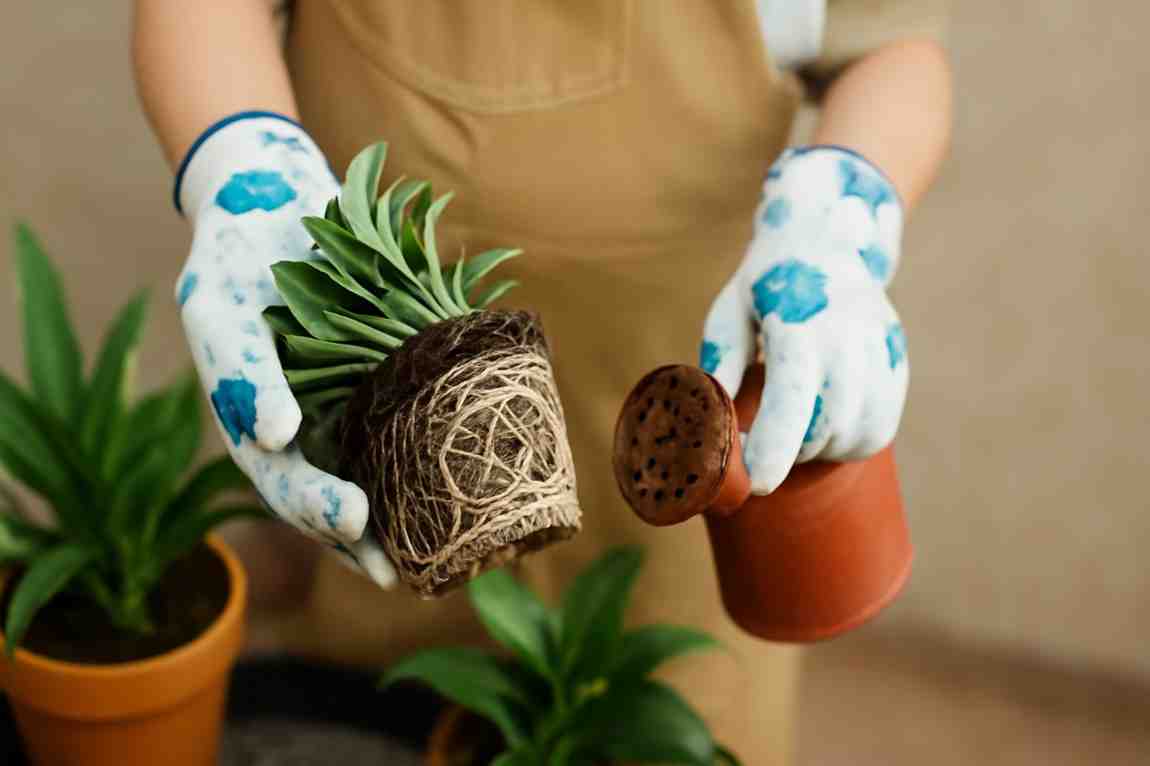 Companion Planting