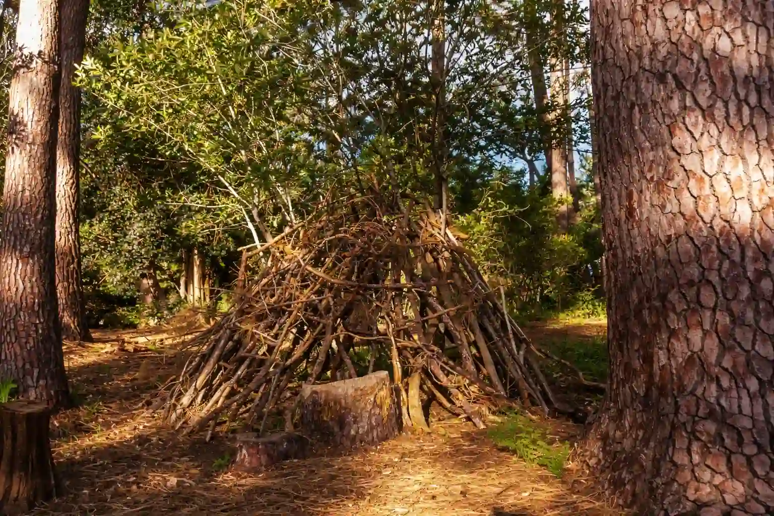 building a shelter from natural materials